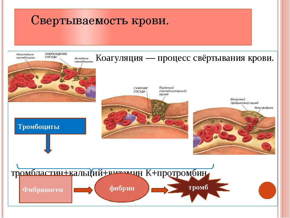 mno-analiz-krovi-chto-ehto